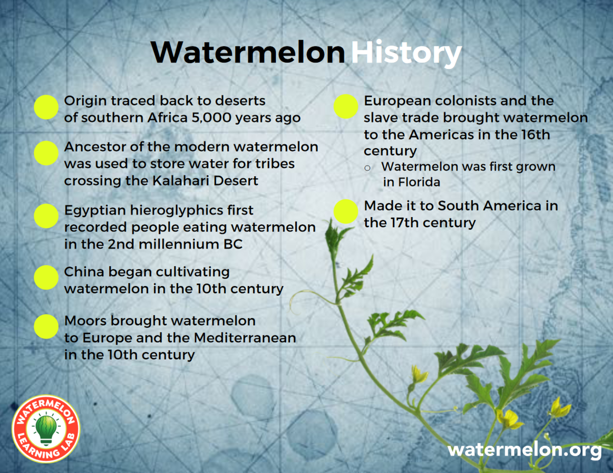 Watermelon 101 Military Produce Group